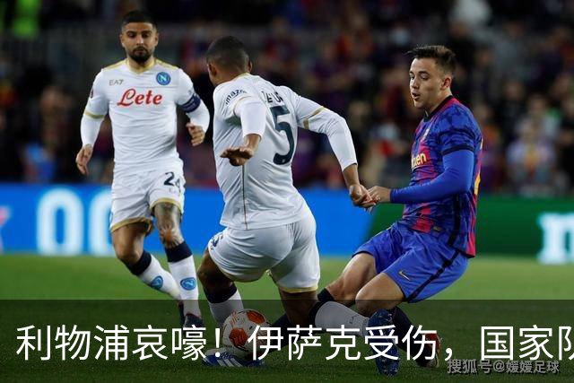 利物浦哀嚎！伊萨克受伤，国家队集训营告别