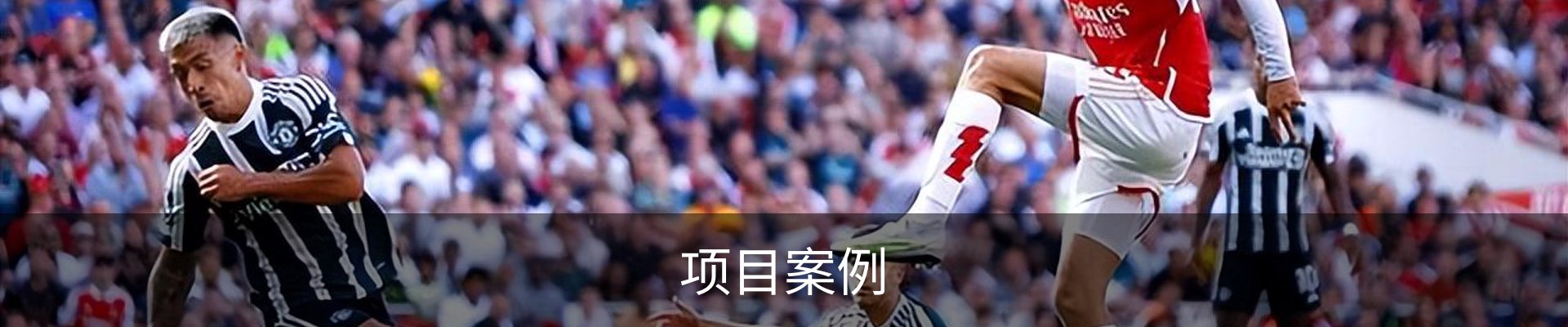 项目案例